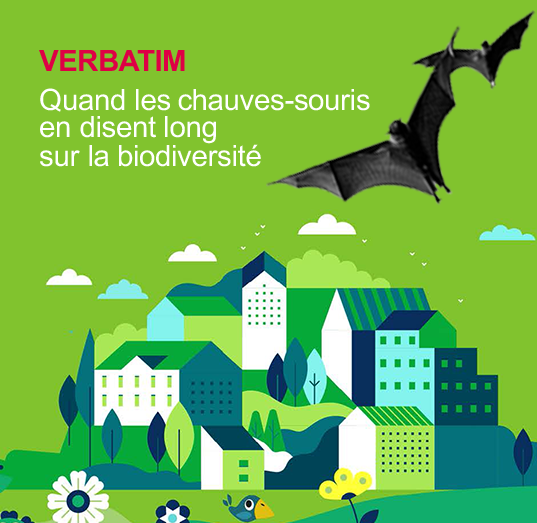 Biodiversité : faire de ce printemps un nouvel engagement !