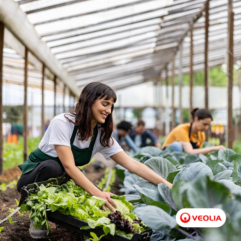 Biodéchets : révéler la force d’une offre engagée